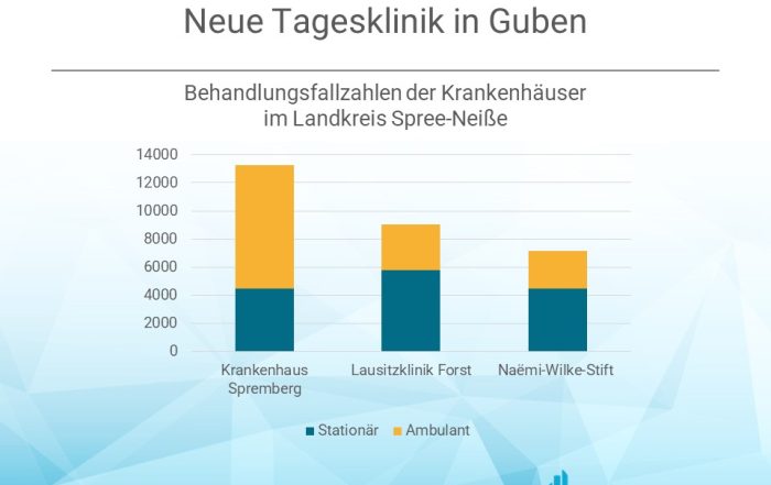 Behandlungsfallzahlen der Krankenhäuser im Landkreis Spree-Neiße